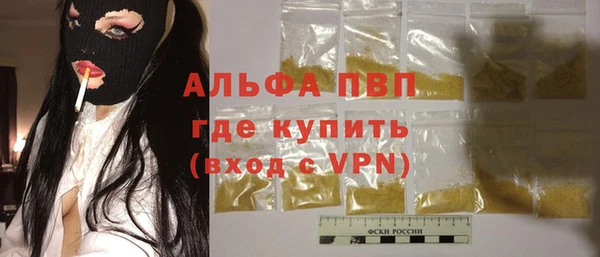 ешки Белокуриха