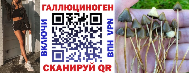дарк нет формула что такое Верхотурье Галлюциногенные грибы мухоморы